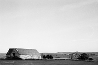 Aubrac 1983.jpg