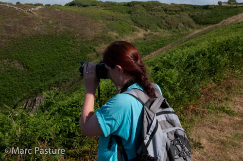 Veronique par Marc Pasture